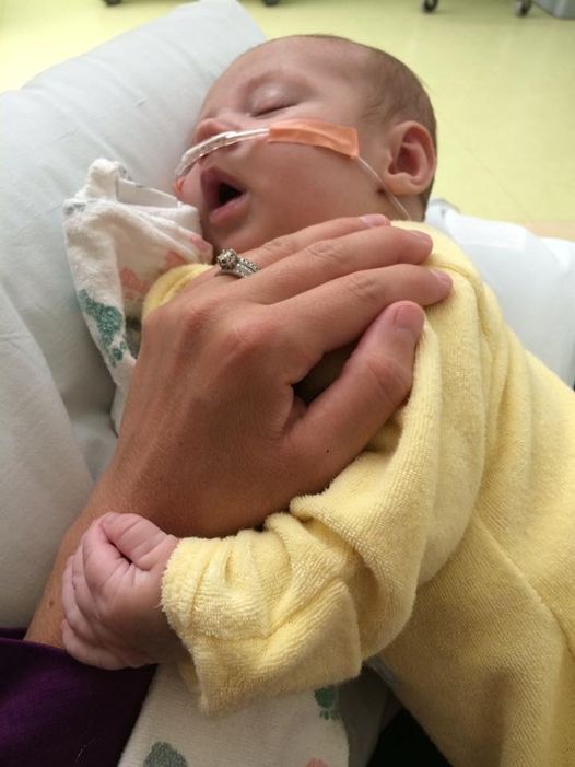 14322265_1088424871205611_5714756370918891349_n